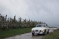 MG Bloesemrit op 24-4-2016 org. Jos&Marie-lou  (234)